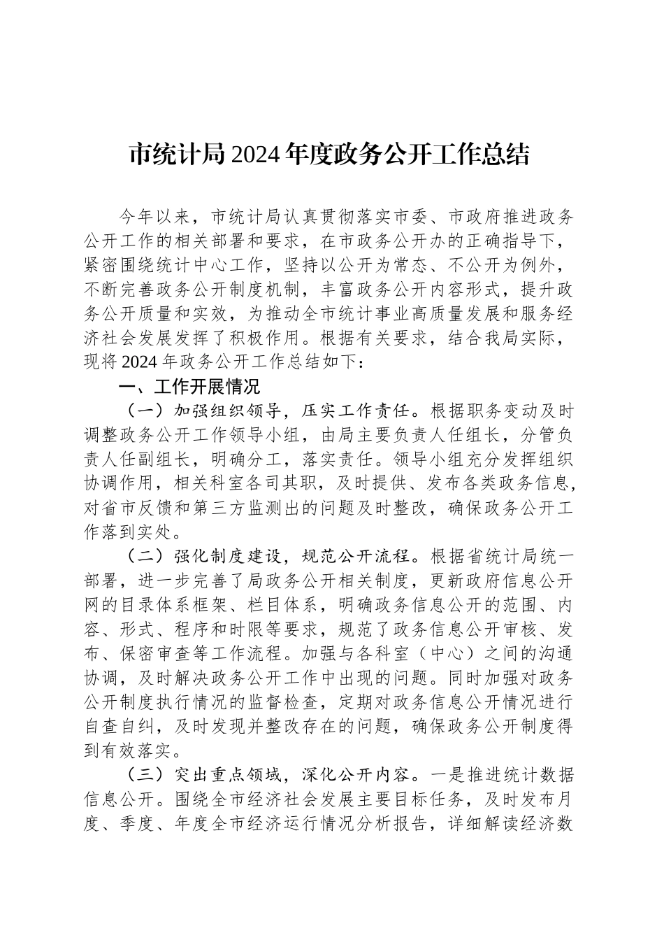 市统计局2024年度政务公开工作总结_第1页