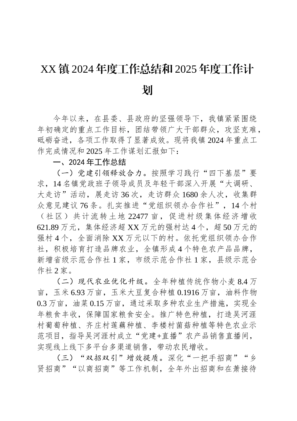 XX镇2024年度工作总结和2025年度工作计划_第1页