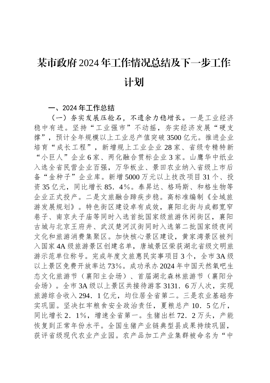 某市政府2024年工作情况总结及下一步工作计划_第1页