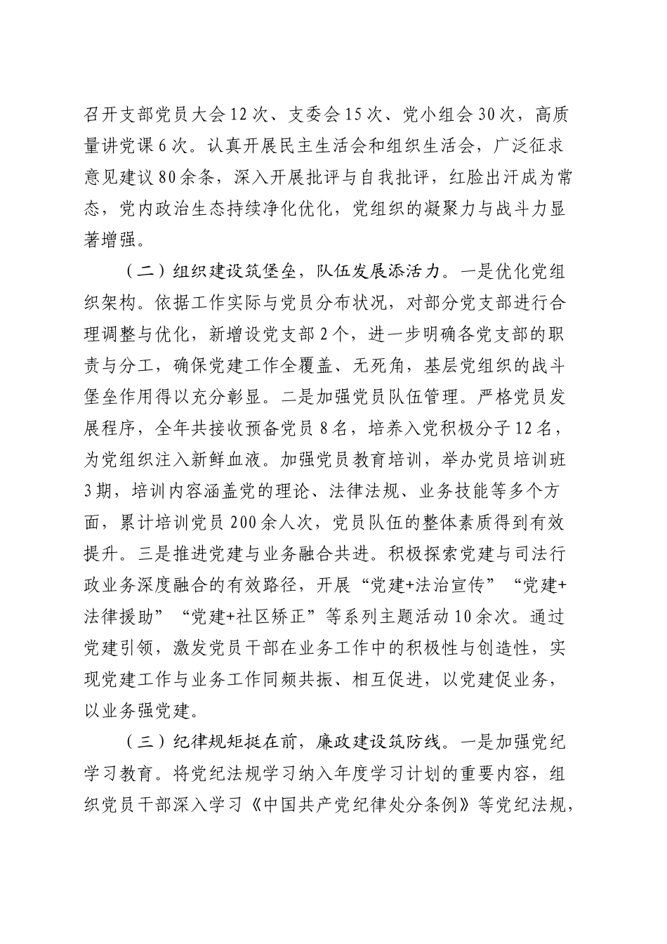 市司法局2024年全面从严治党工作总结_第2页