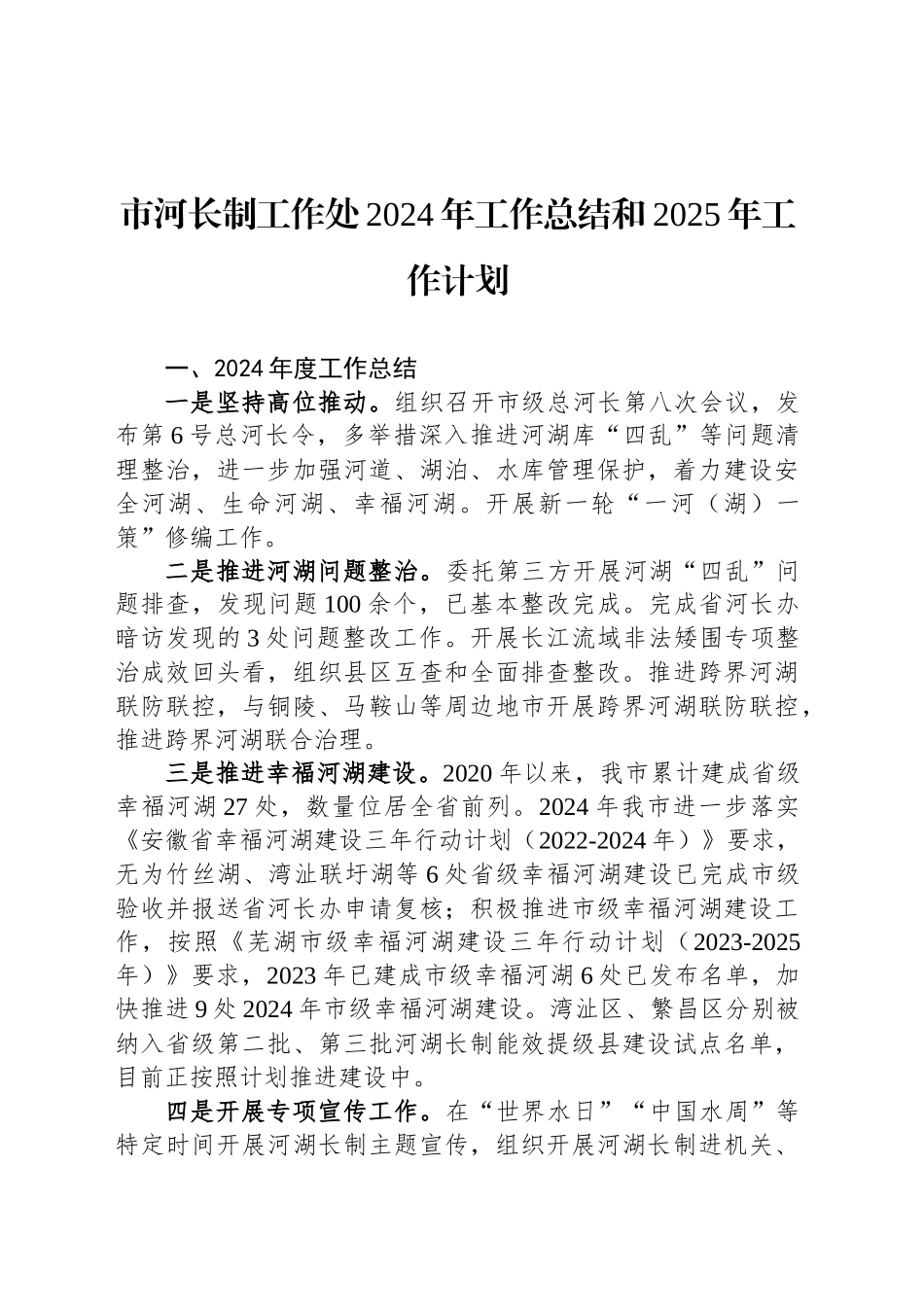 市河长制工作处2024年工作总结和2025年工作计划_第1页