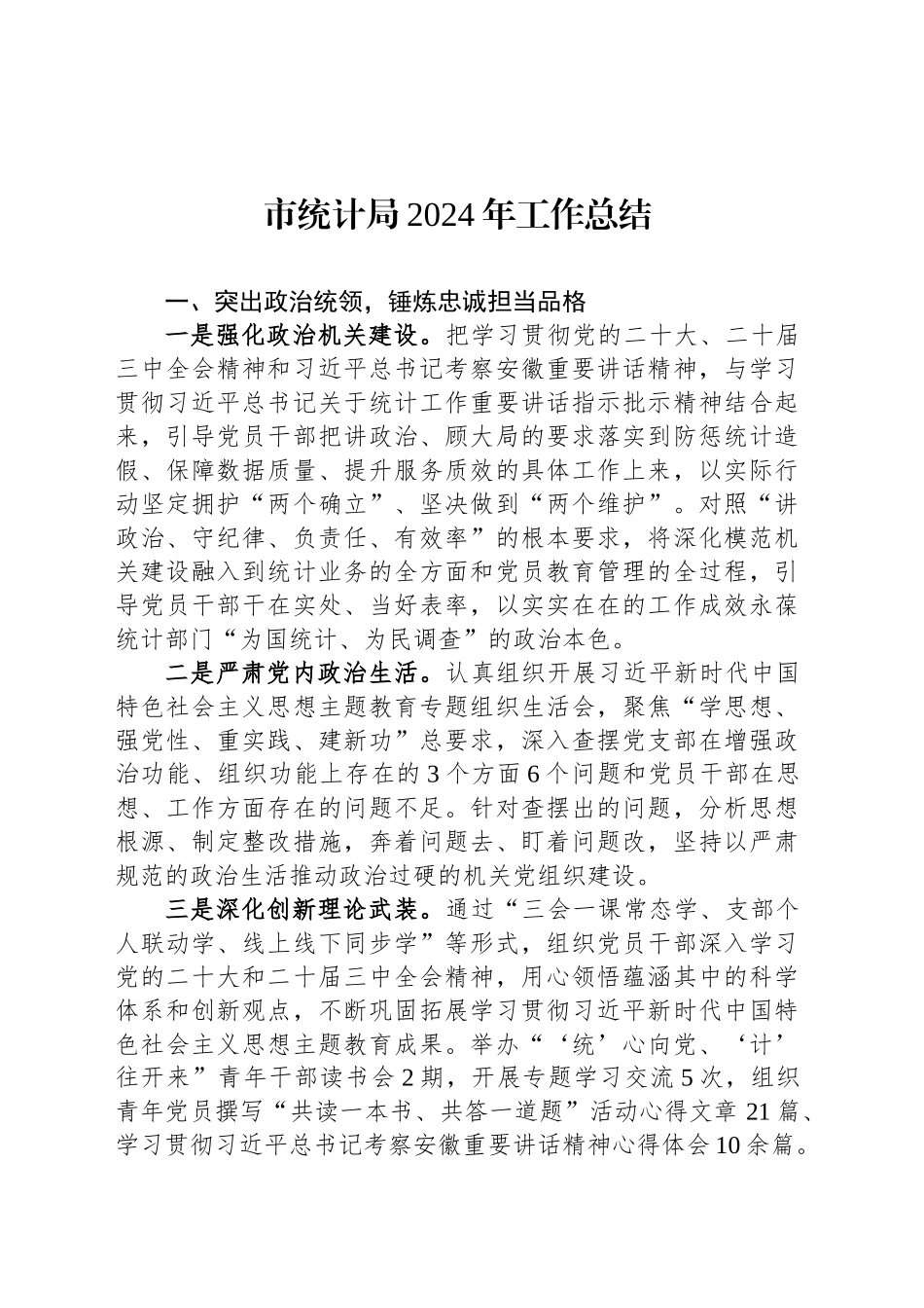 市统计局2024年工作总结_第1页