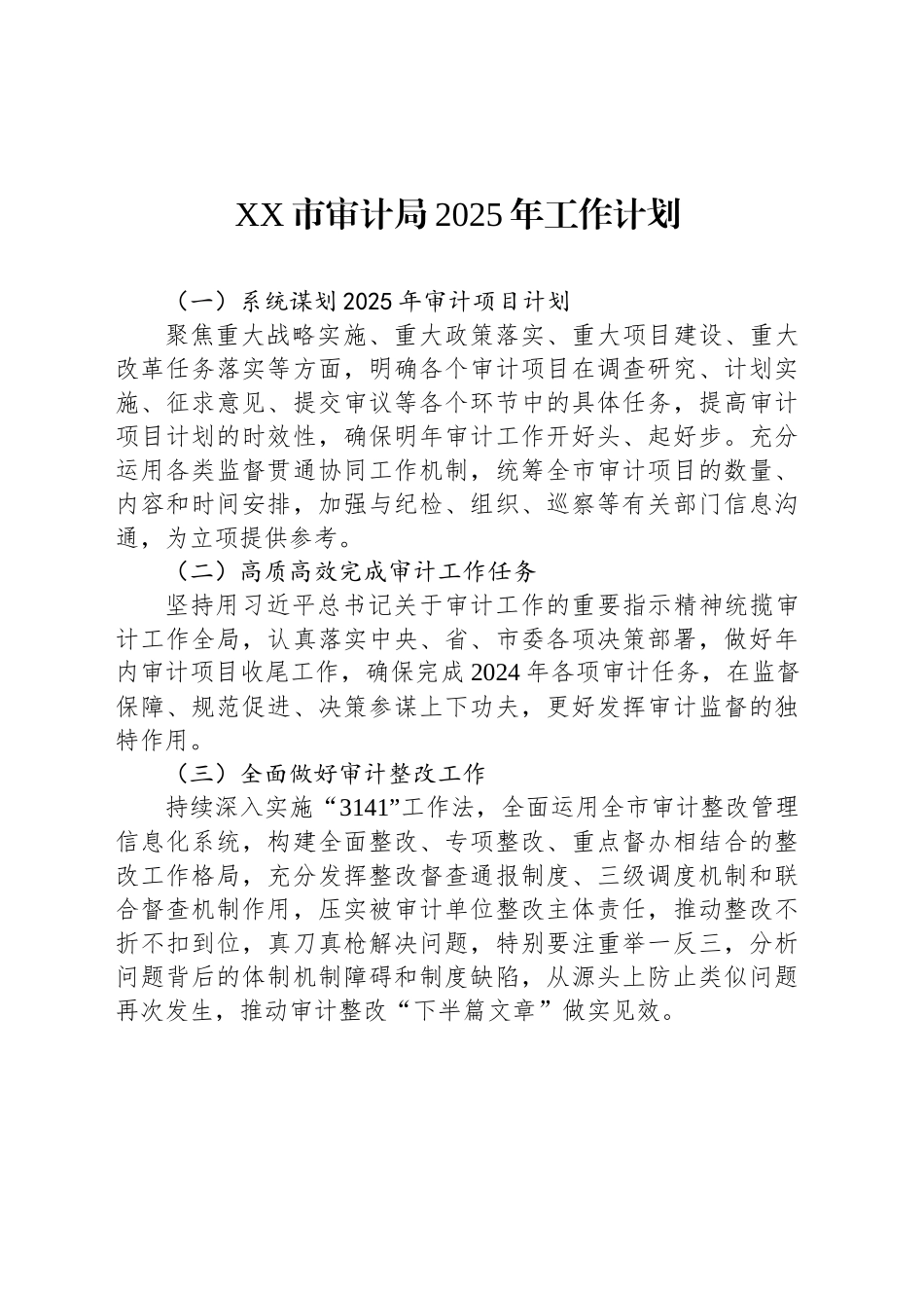 XX市审计局2025年工作计划_第1页