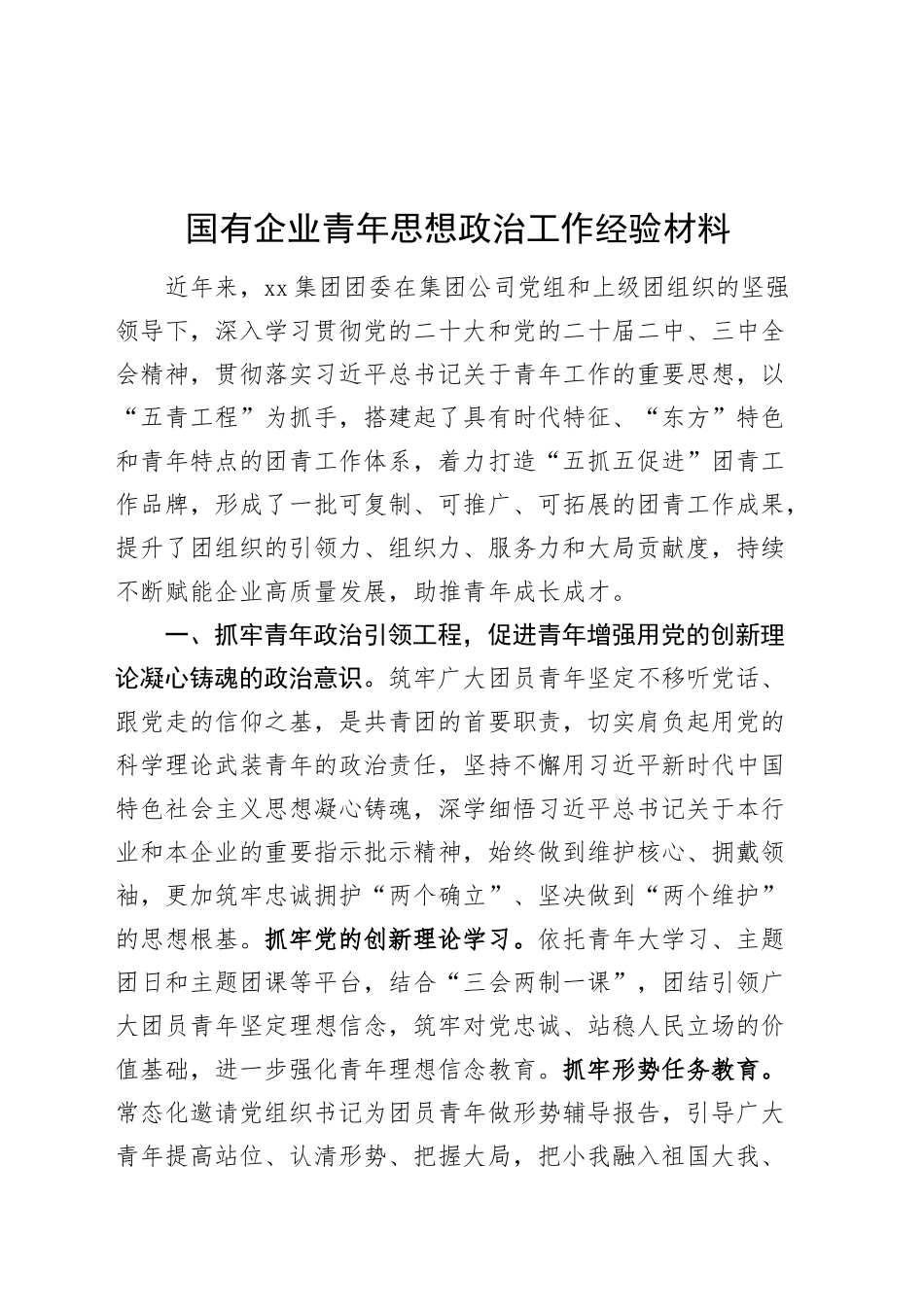 国有企业青年思想政治工作经验材料公司总结汇报报告20250101_第1页