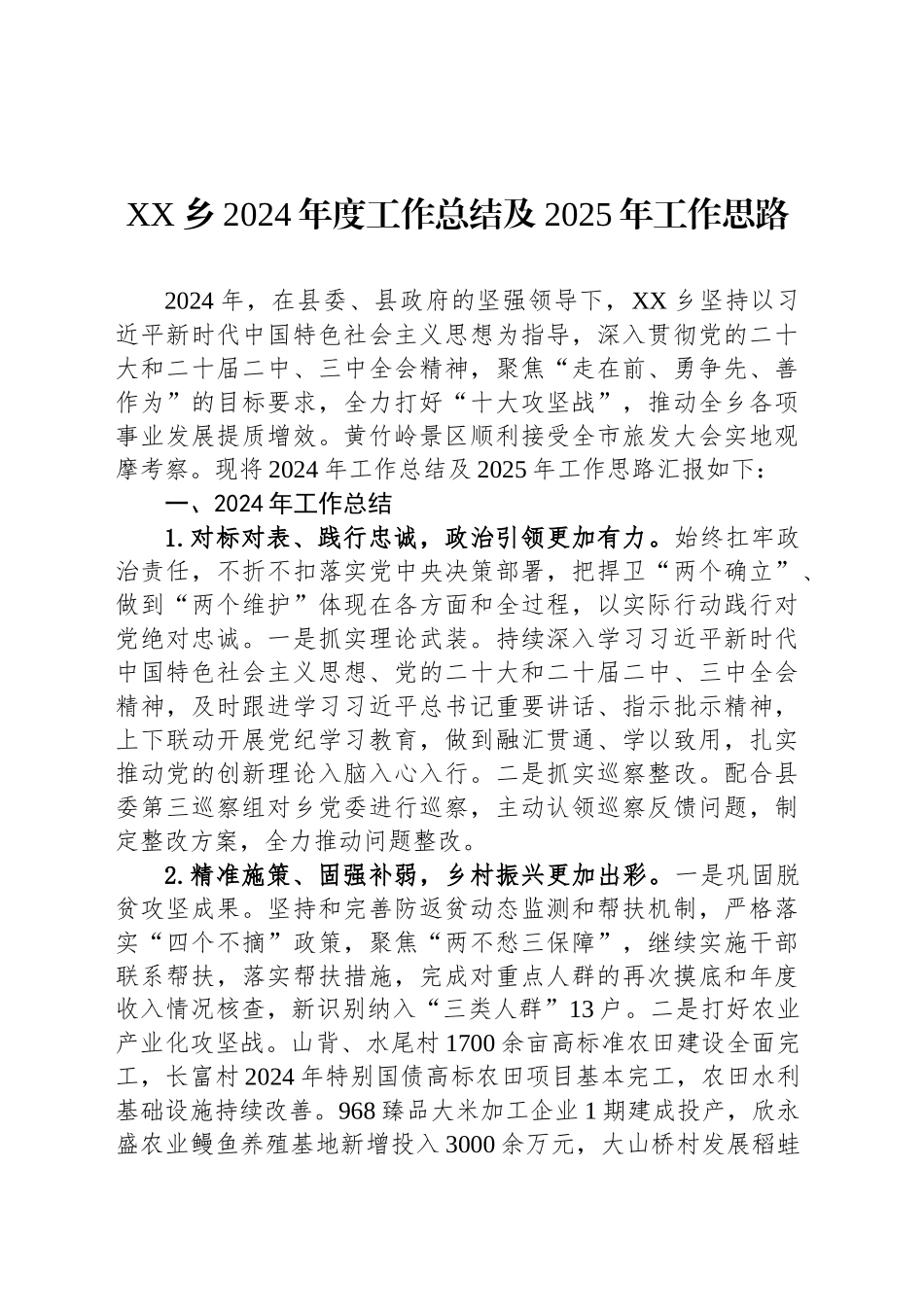XX乡2024年度工作总结及2025年工作思路_第1页