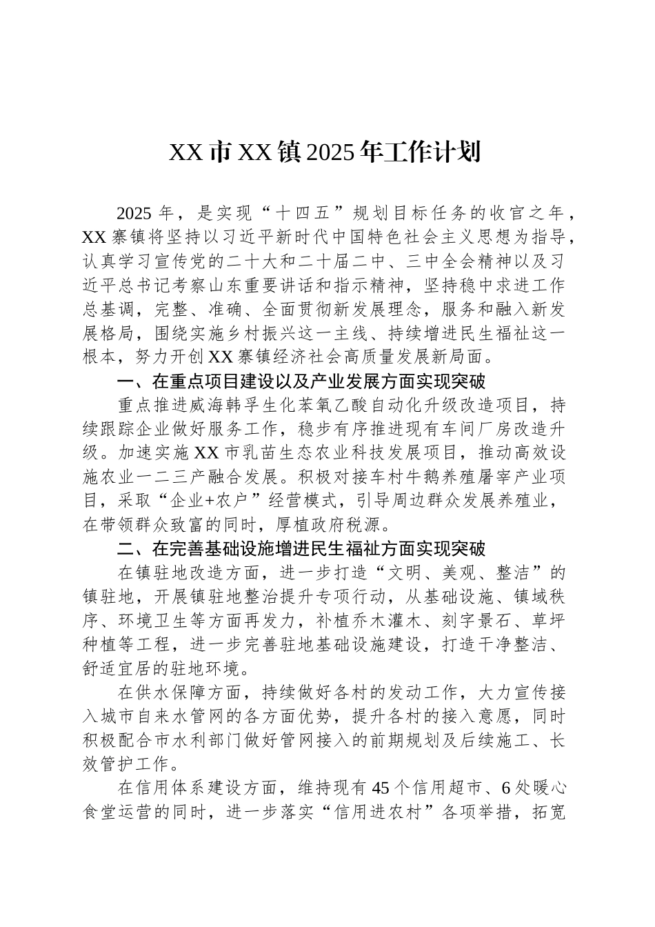 XX市XX镇2025年工作计划_第1页