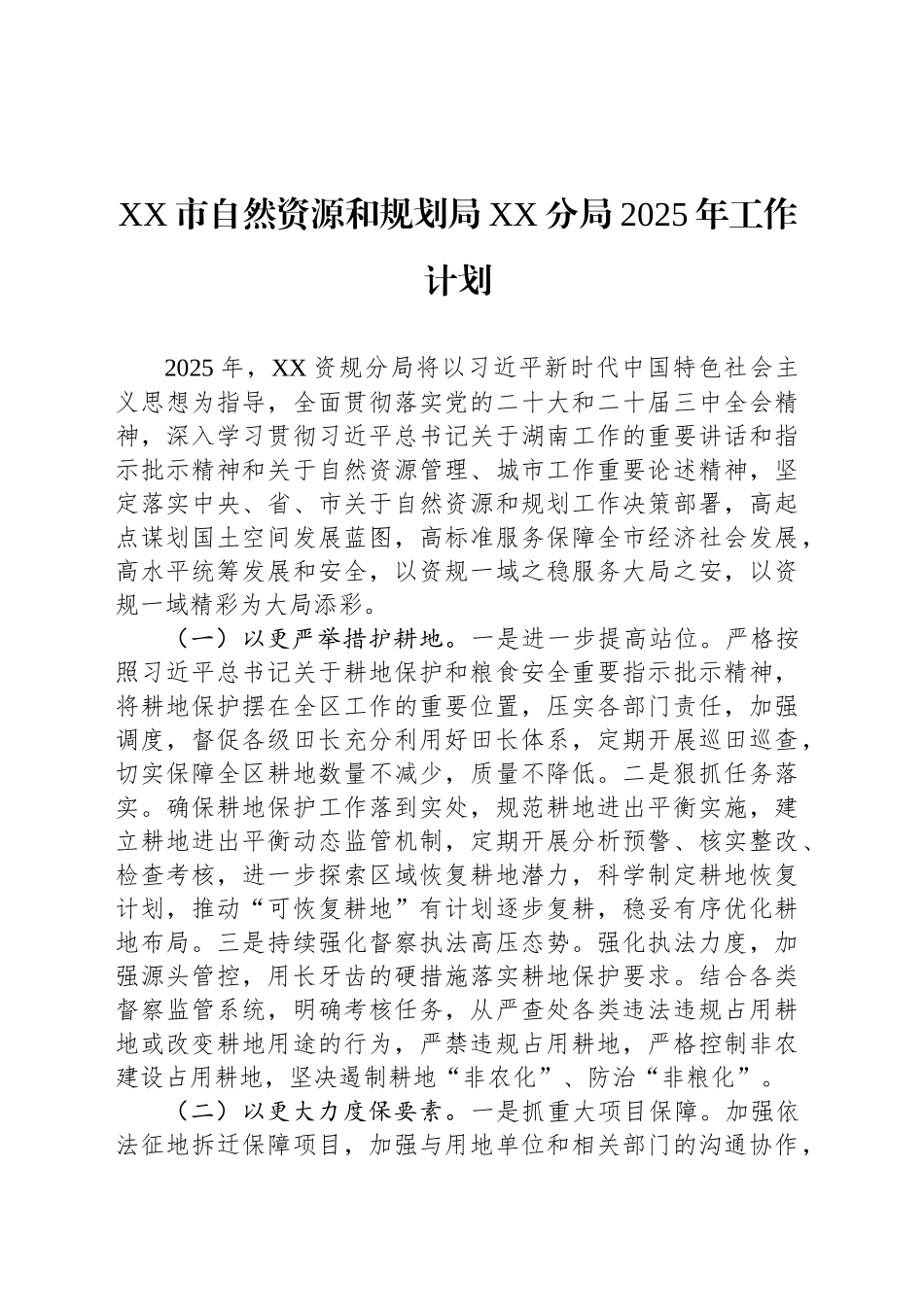 XX市自然资源和规划局XX分局2025年工作计划_第1页