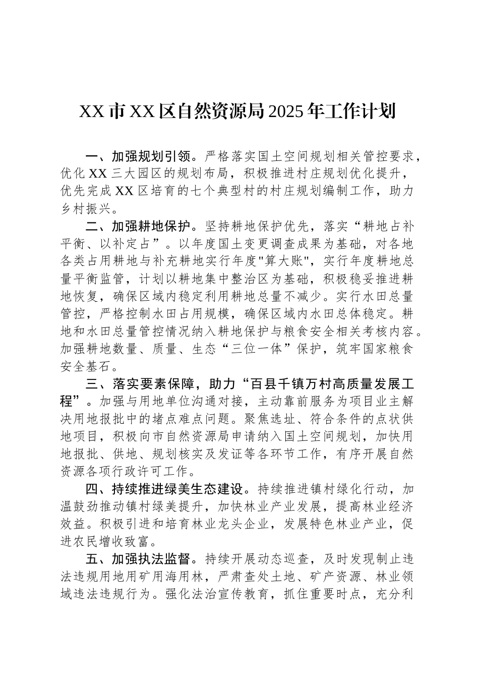 XX市XX区自然资源局2025年工作计划_第1页