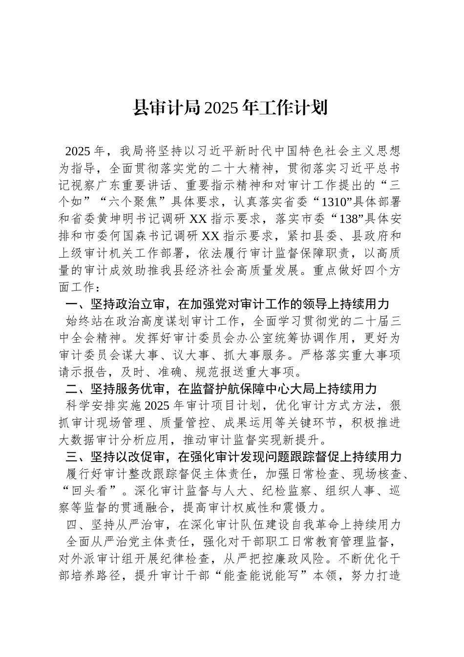 县审计局2025年工作计划_第1页