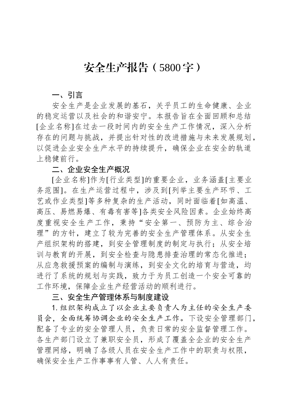 安全生产报告（5800字）_第1页