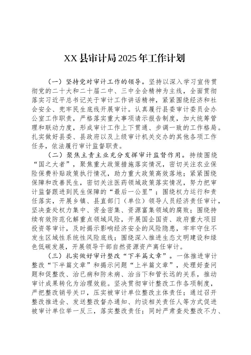 XX县审计局2025年工作计划_第1页