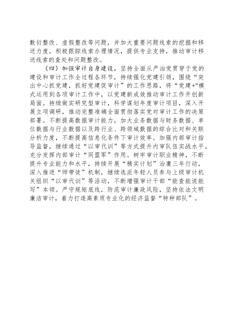 XX县审计局2025年工作计划_第2页