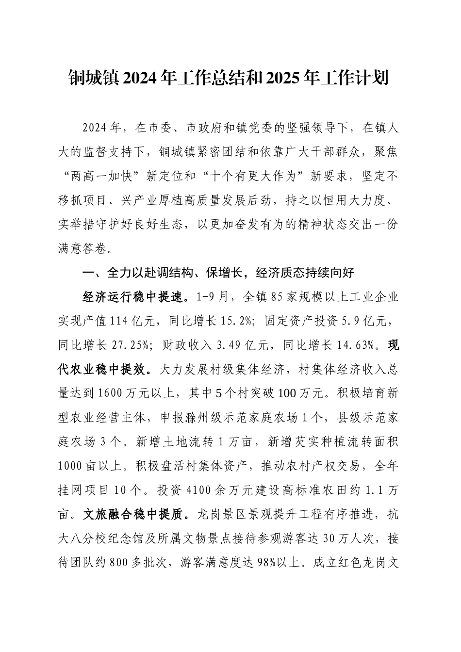 XX镇2024年工作总结和2025年工作计划-6_第1页