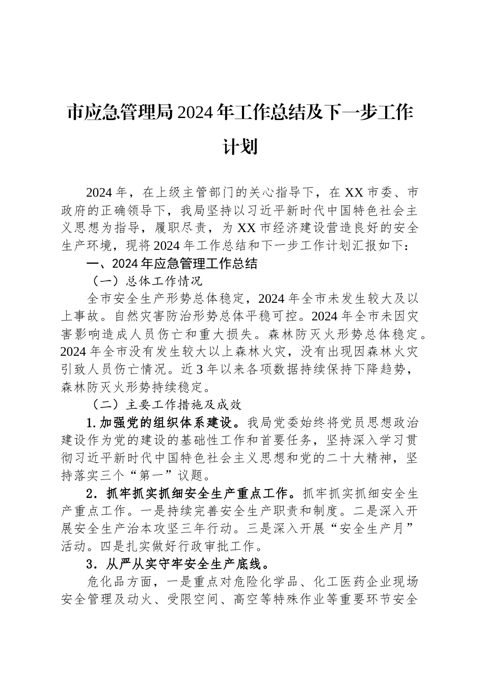 市应急管理局2024年工作总结及下一步工作计划_第1页