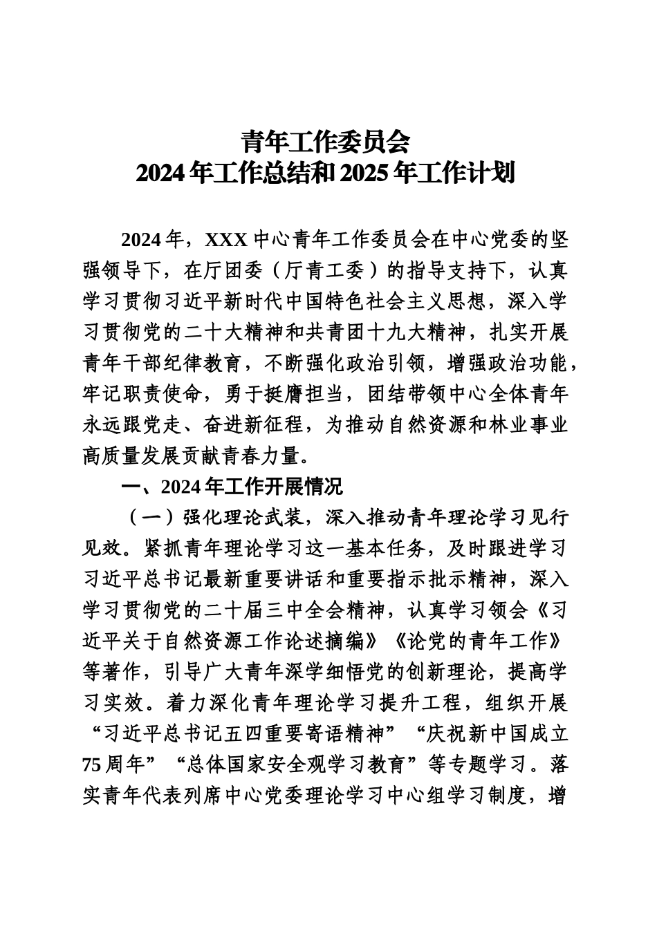 青年工作委员会2024年工作总结和2025年工作计划_第1页