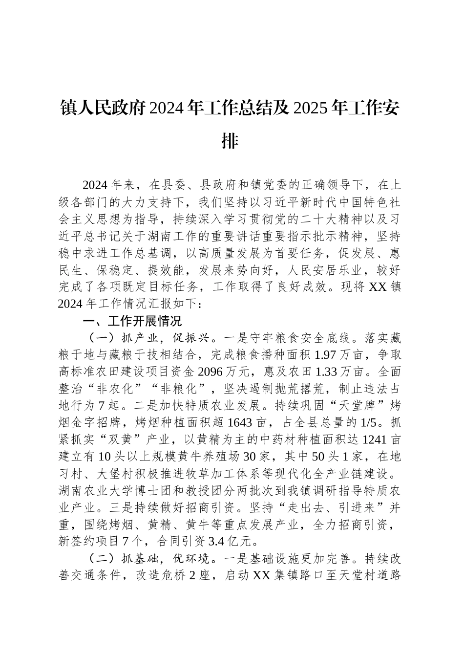 镇人民政府2024年工作总结及2025年工作安排_第1页