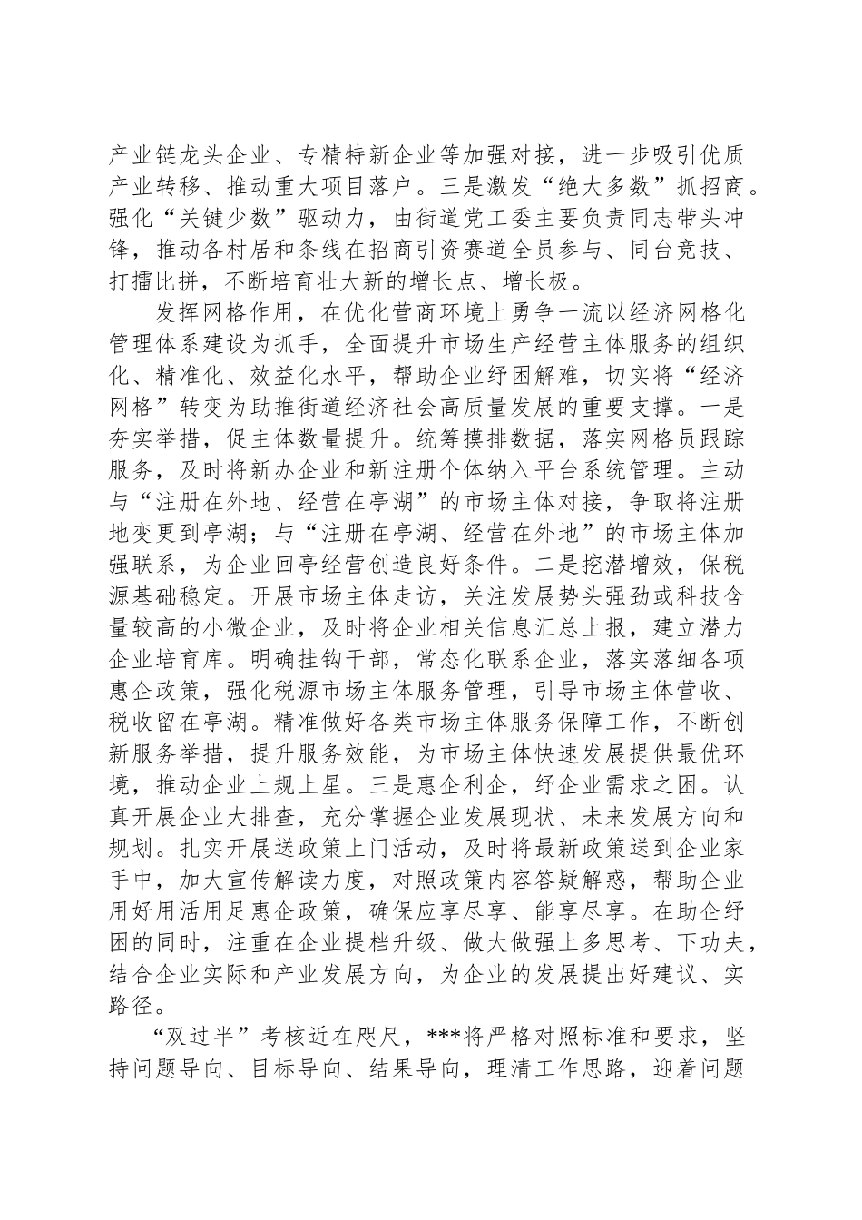 2024年度街道经济项目总结_第2页