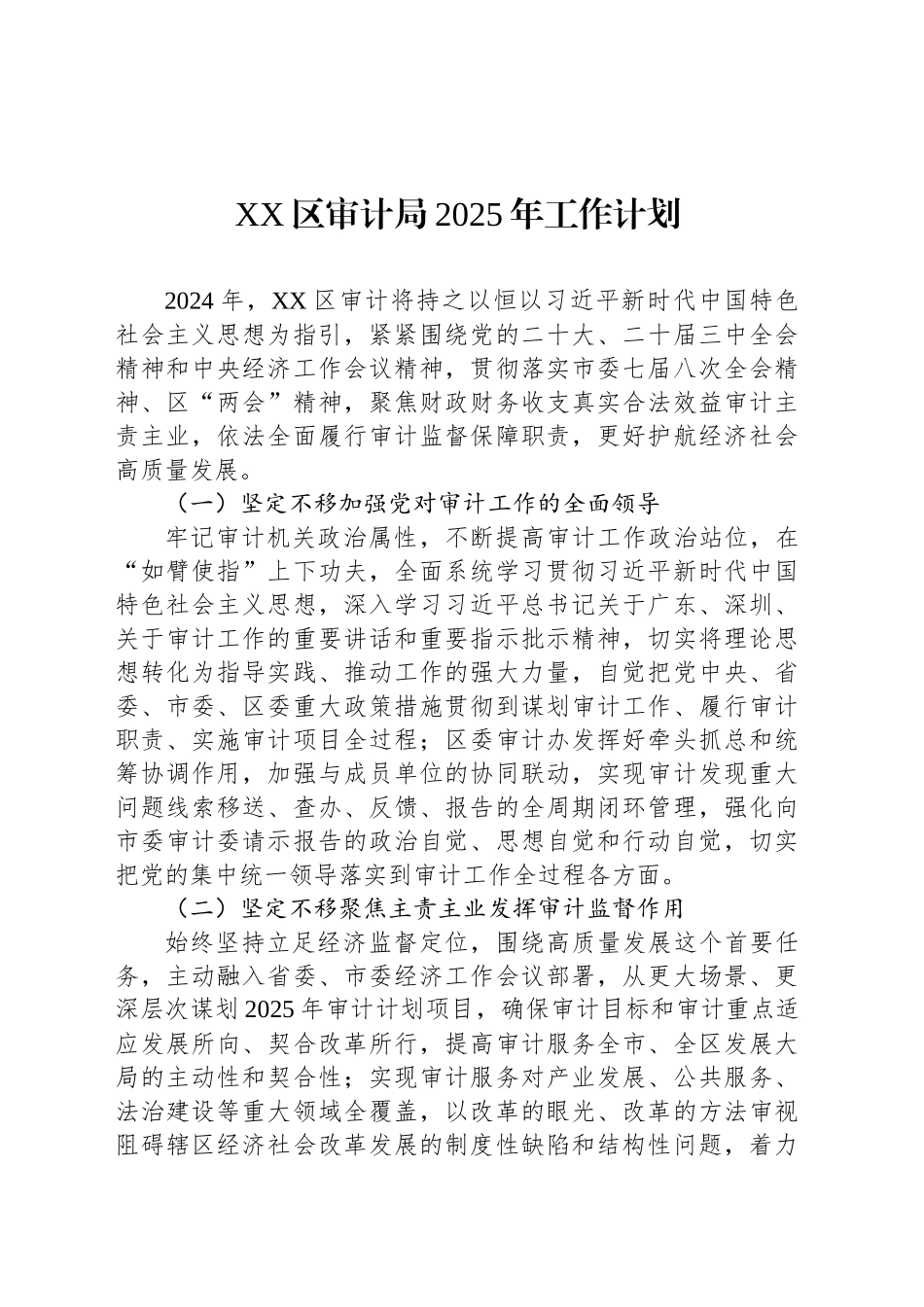 XX区审计局2025年工作计划_第1页