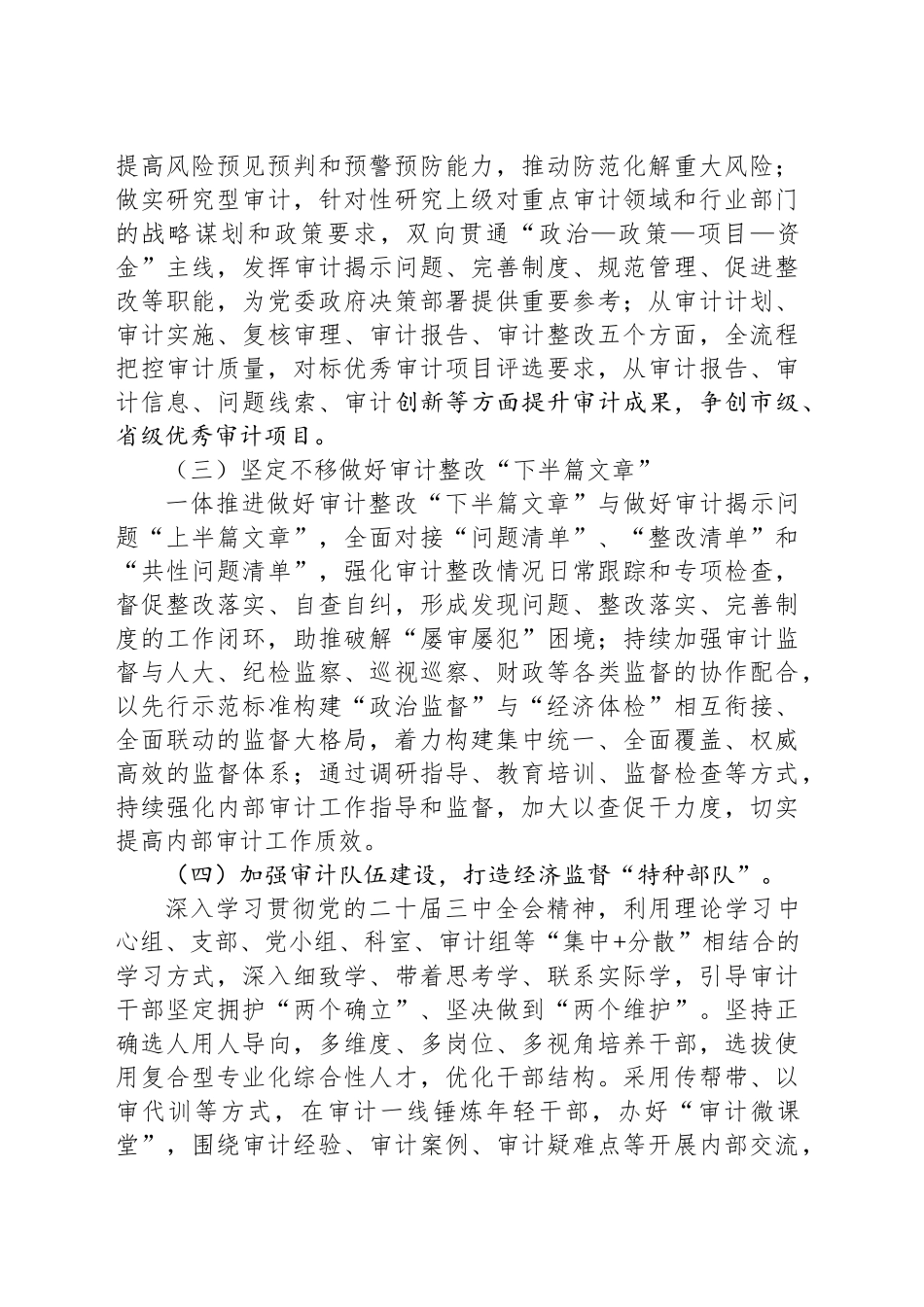 XX区审计局2025年工作计划_第2页