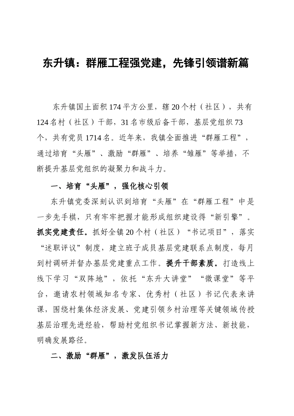 群雁工程强党建，先锋引领谱新篇_第1页