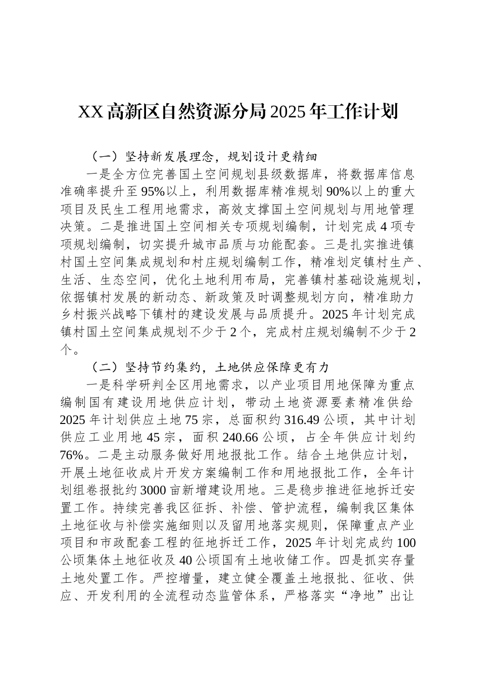 XX高新区自然资源分局2025年工作计划_第1页