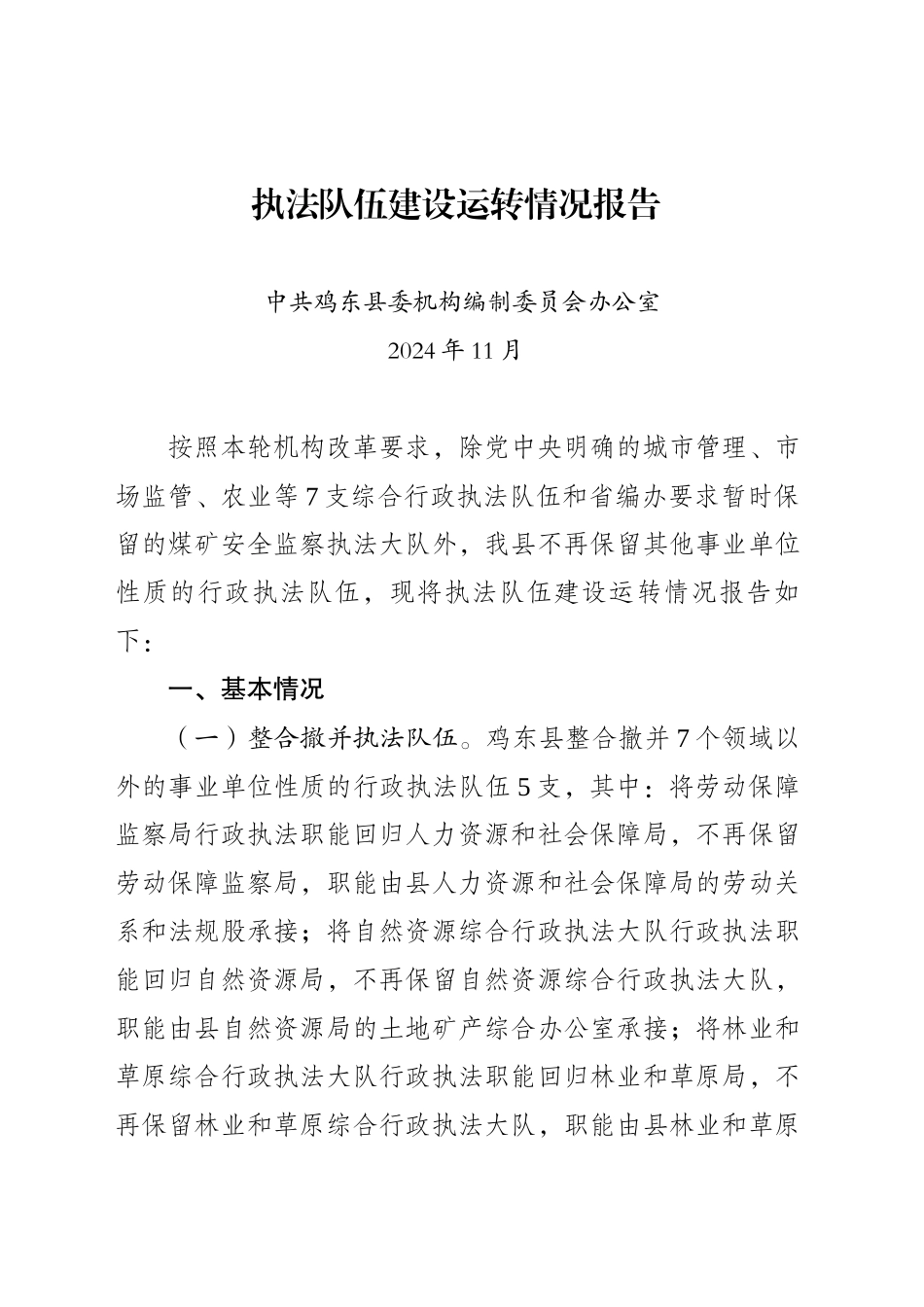 执法队伍建设运转情况报告(202411)_第1页