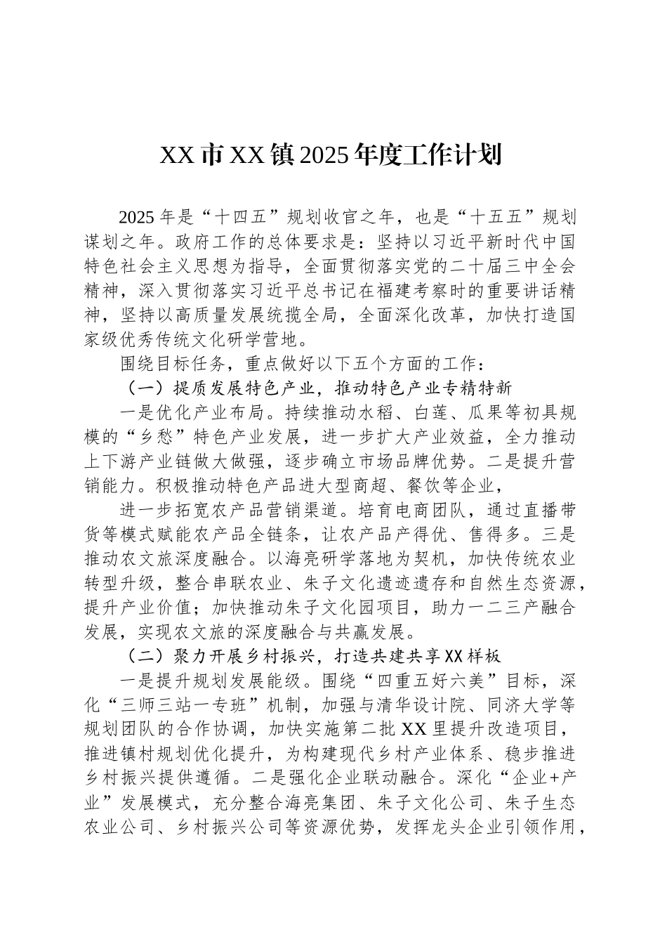 XX市XX镇2025年度工作计划_第1页