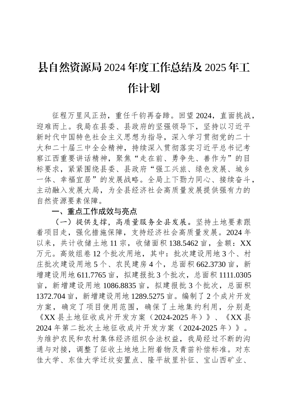 县自然资源局2024年度工作总结及2025年工作计划_第1页