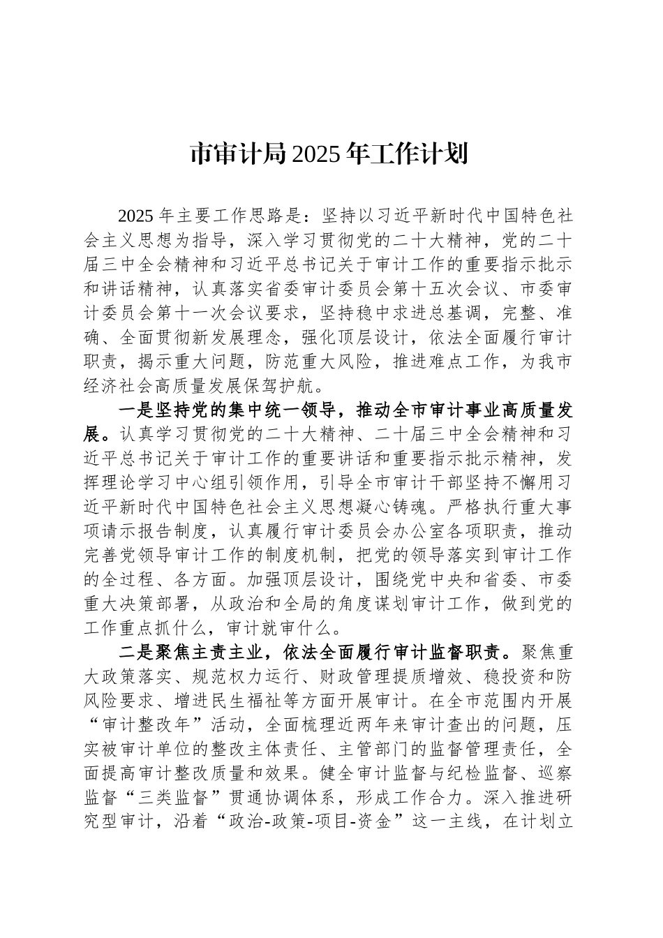 市审计局2025年工作计划_第1页