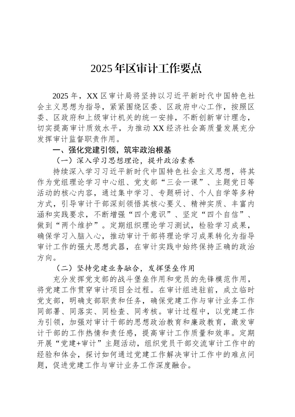2025年区审计工作要点_第1页