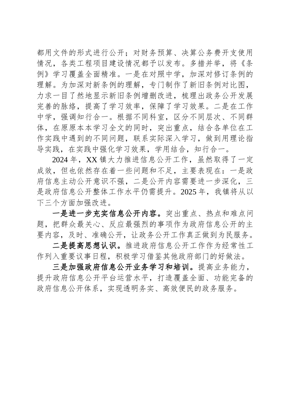 XX镇政府2024年政府信息公开工作总结和2025年工作思路_第2页