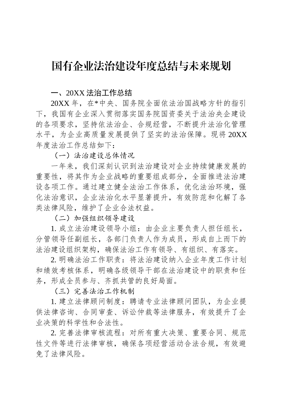 国有企业法治建设年度总结与未来规划_第1页