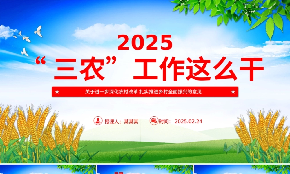 2025年三农工作这么干PPT中央一号文件要点（20250305）