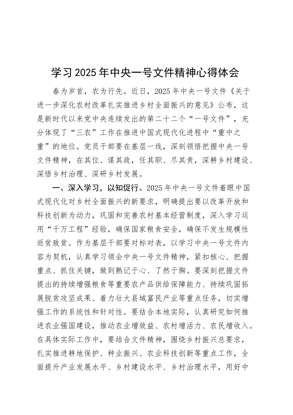 2025年一号文件精神心得体会研讨发言材料20250305_第1页