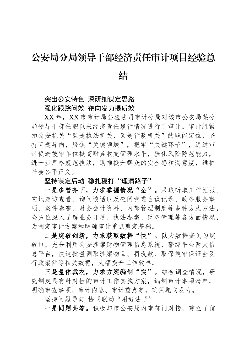 公安局分局领导干部经济责任审计项目经验总结_第1页