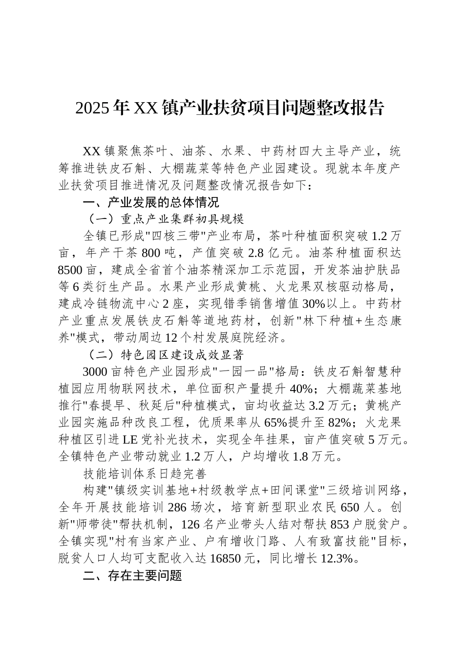 2025年XX镇产业扶贫项目问题整改报告_第1页