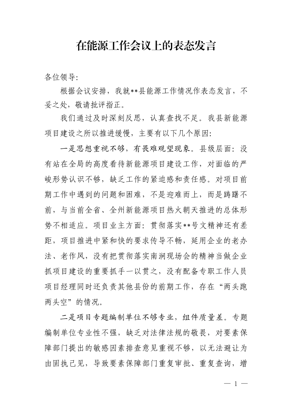 在能源工作会议上的表态发言_第1页