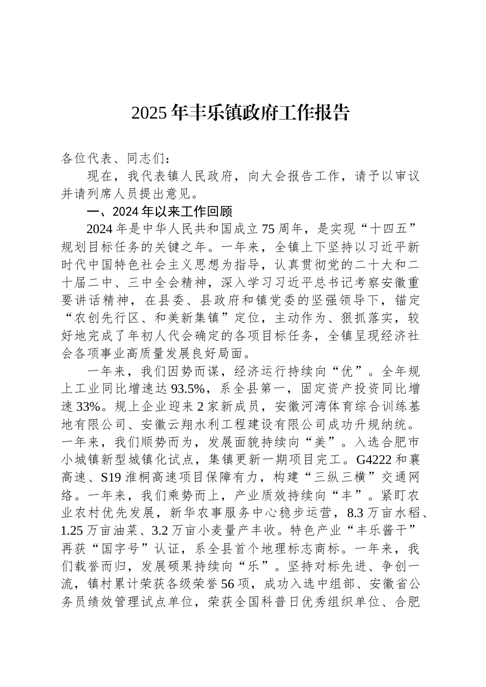 2025年丰乐镇政府工作报告_第1页