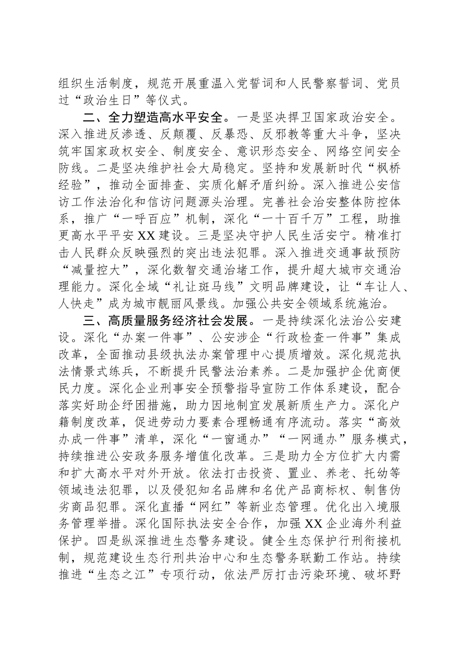 2025年XX公安工作要点_第2页