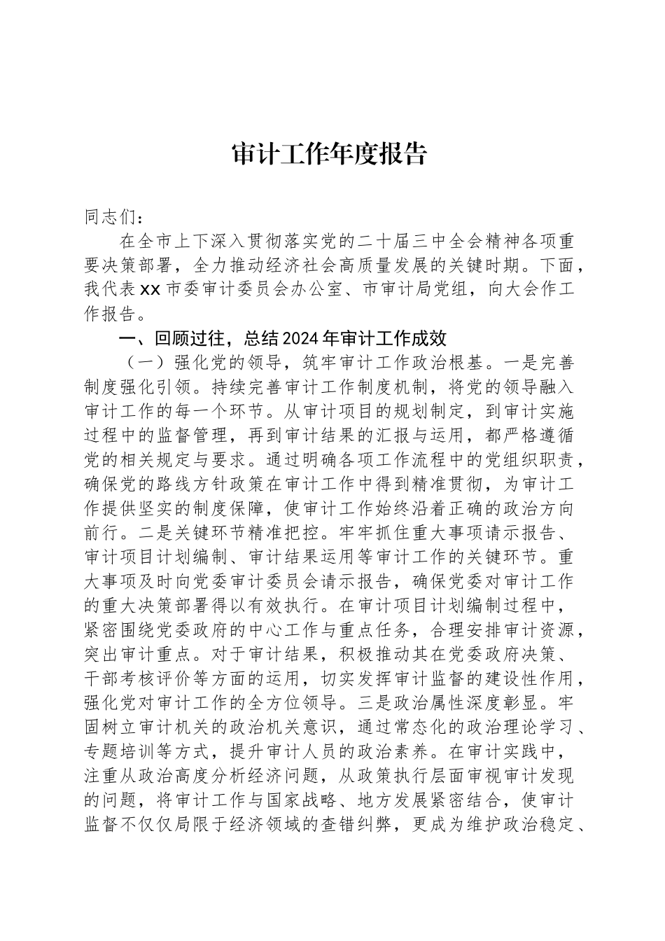 审计工作年度报告_第1页