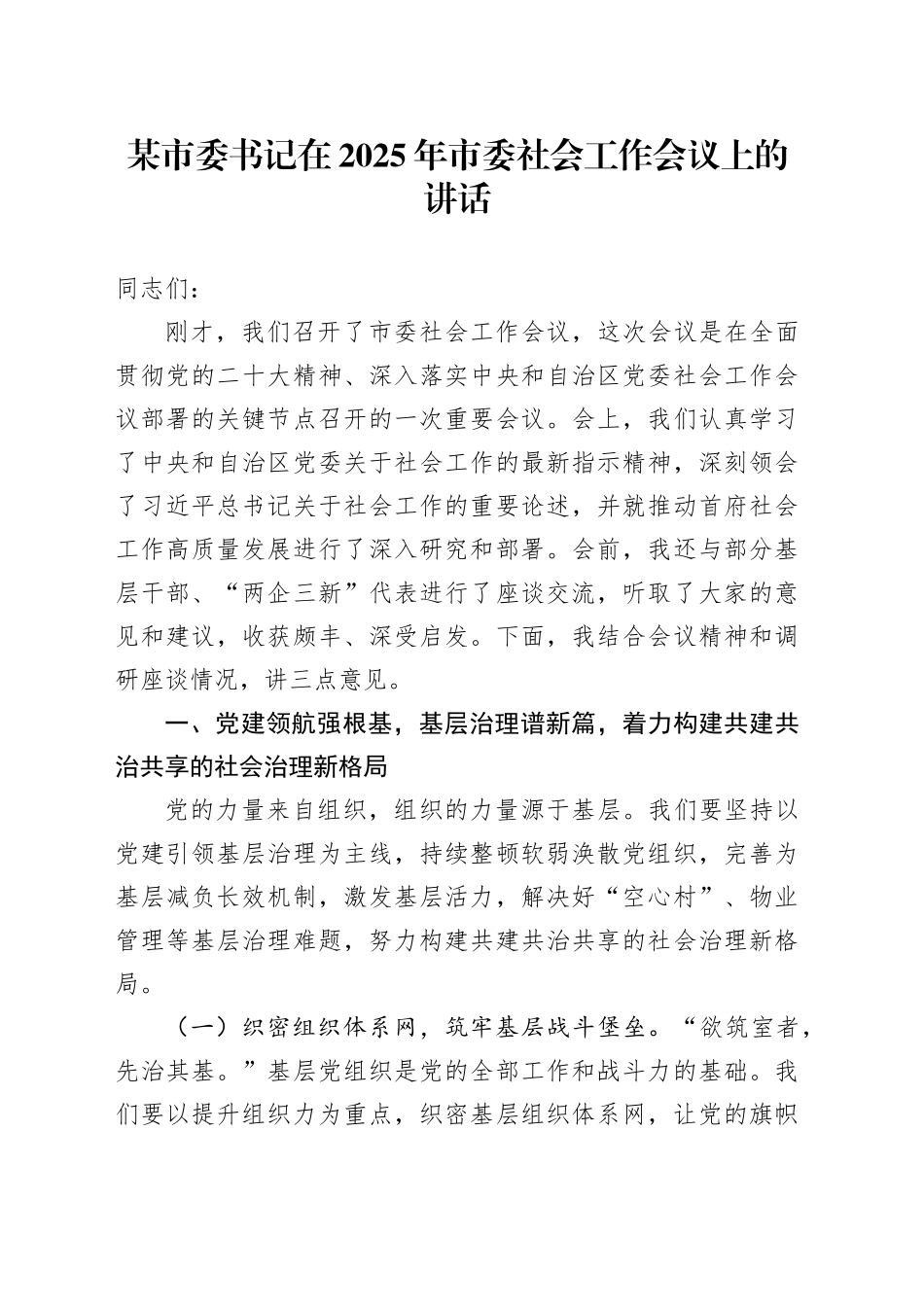 某市委书记在2025年市委社会工作会议上的讲话_第1页
