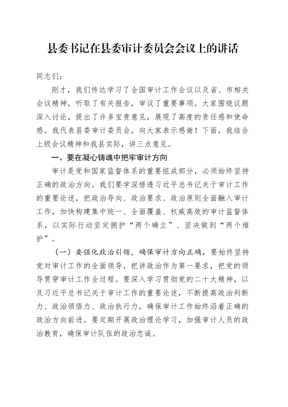 县委书记在县委审计委员会会议上的讲话_第1页
