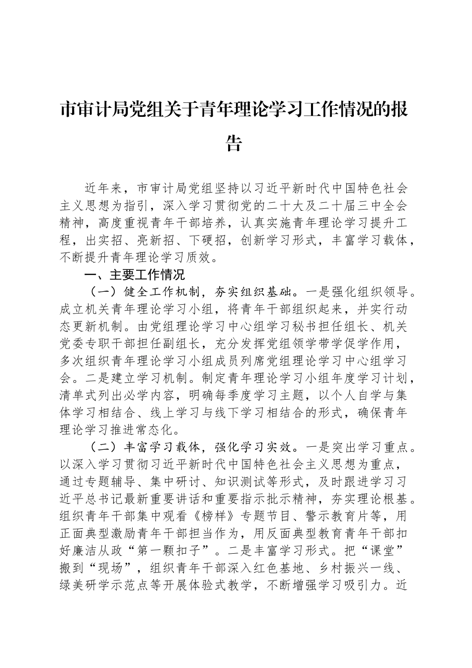 市审计局党组关于青年理论学习工作情况的报告_第1页