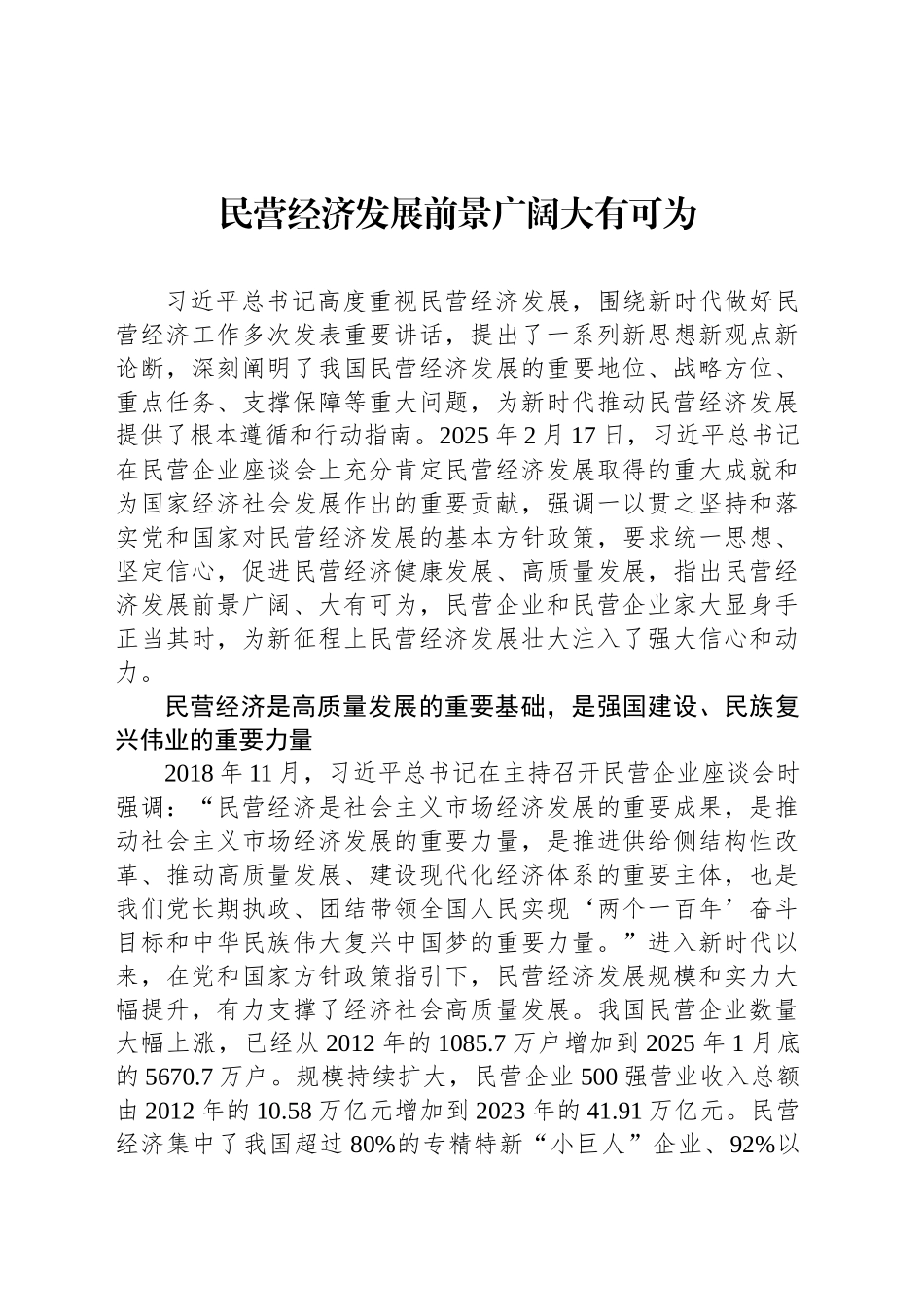 民营经济发展前景广阔大有可为_第1页