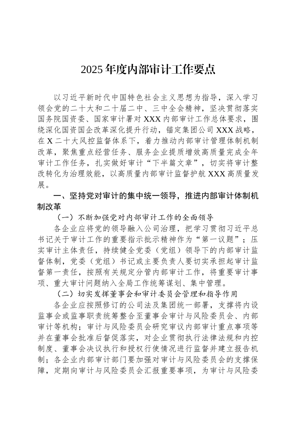2025年度内部审计工作要点_第1页