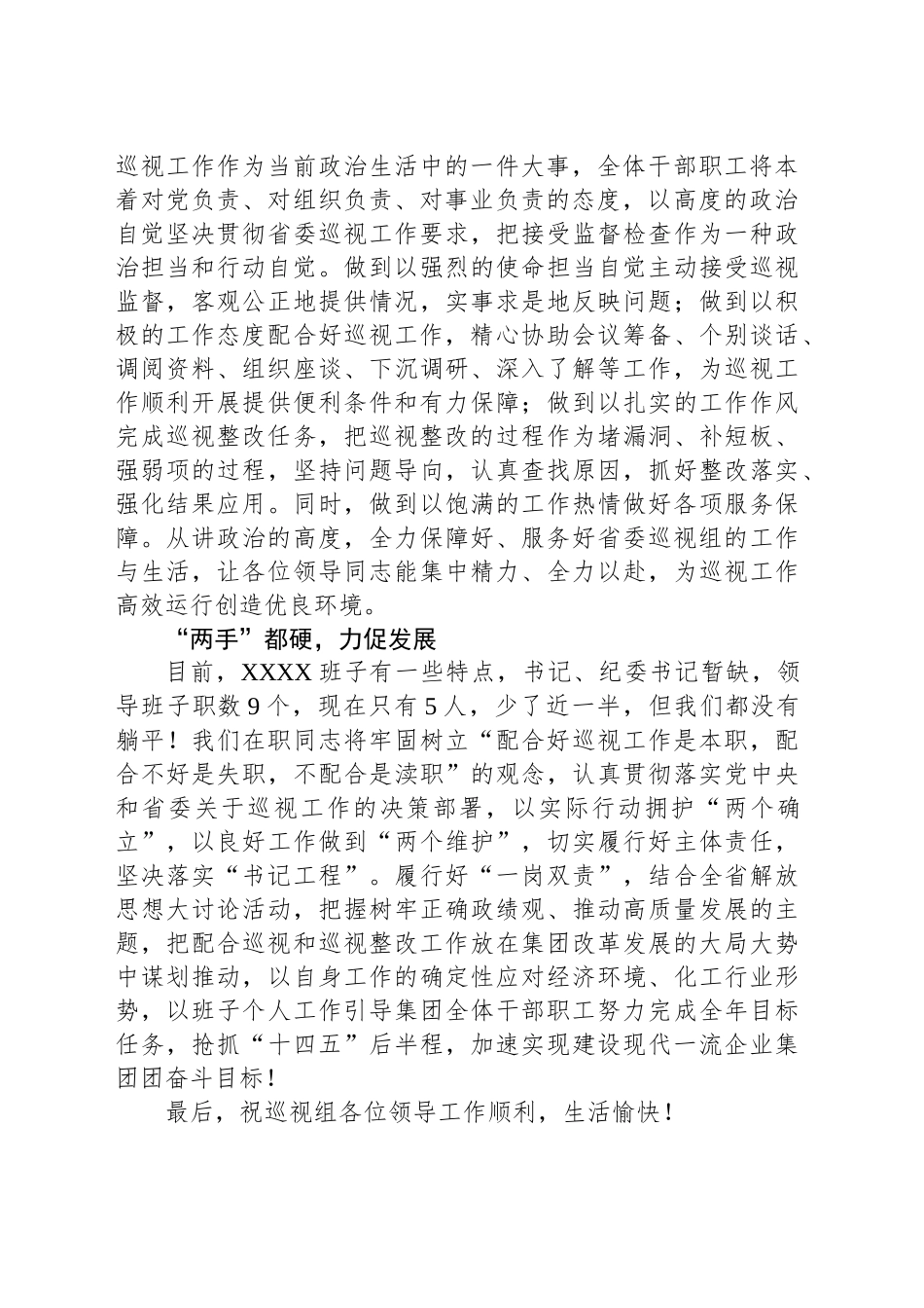 在巡视组见面会上的表态发言_第2页