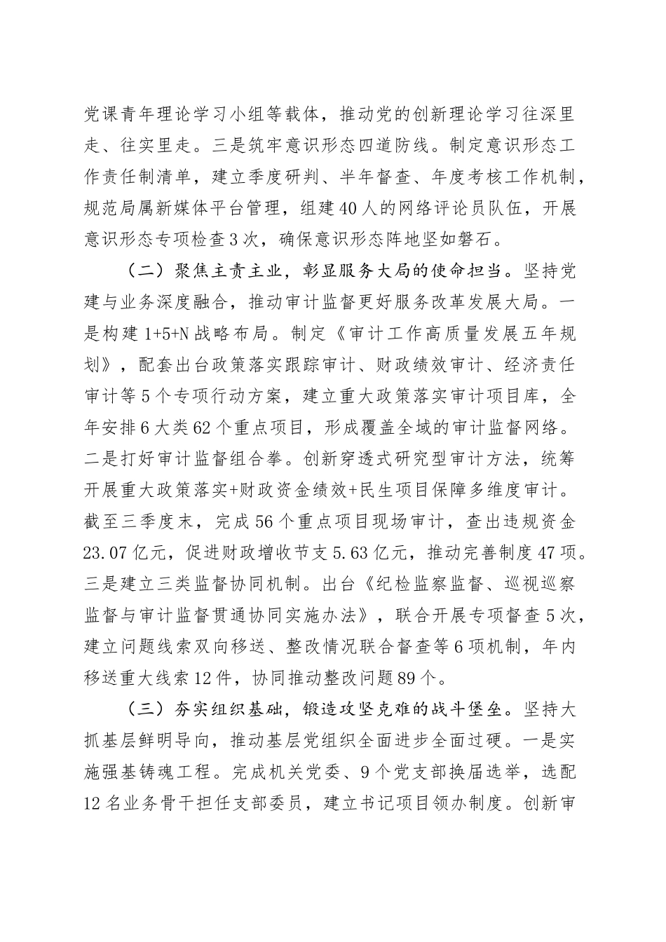 市审计局上半年党建工作总结_第2页