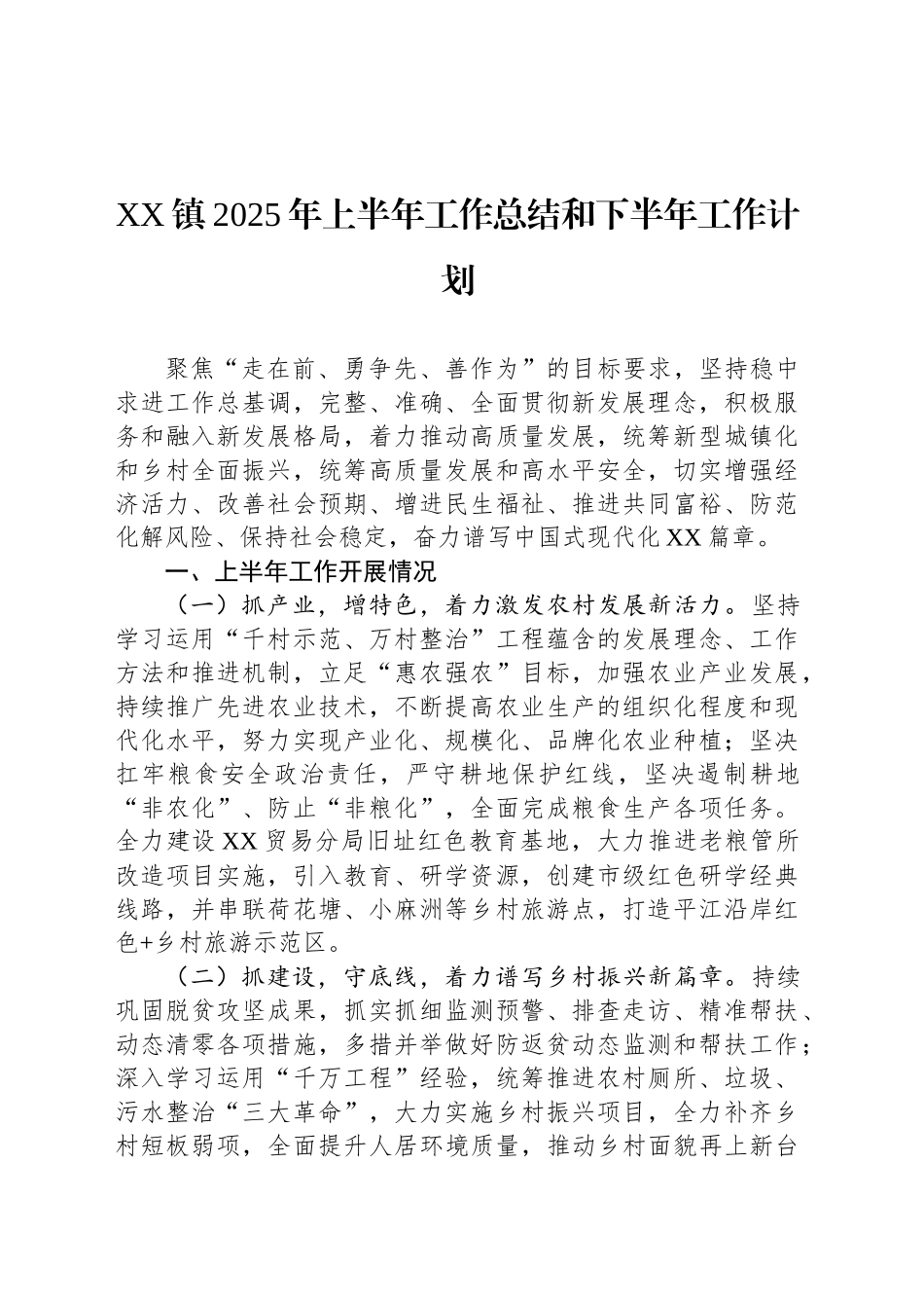 XX镇2025年上半年工作总结和下半年工作计划_第1页