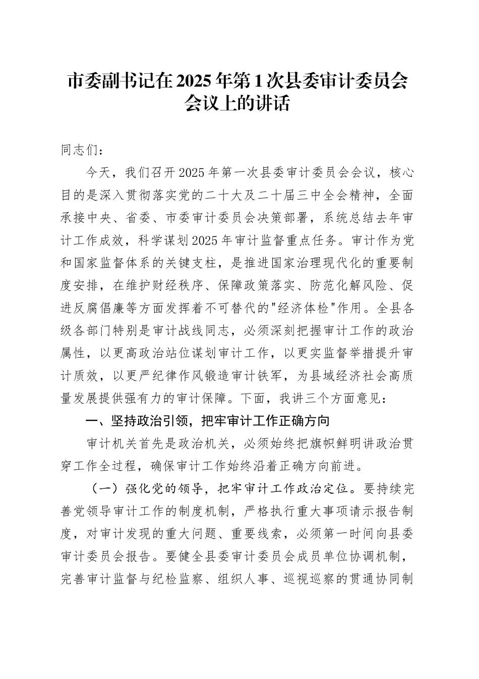 市委副书记在2025年第1次县委审计委员会会议上的讲话_第1页