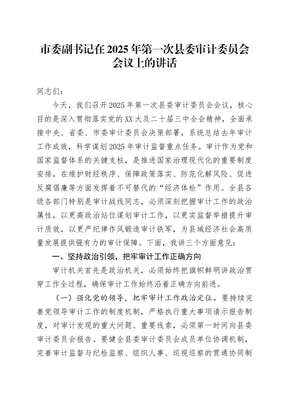 市委副书记在2025年第一次县委审计委员会会议上的讲话_第1页